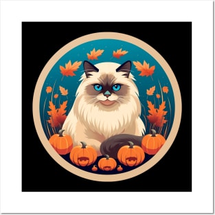 Birman Cat Halloween, Cat Lover Posters and Art